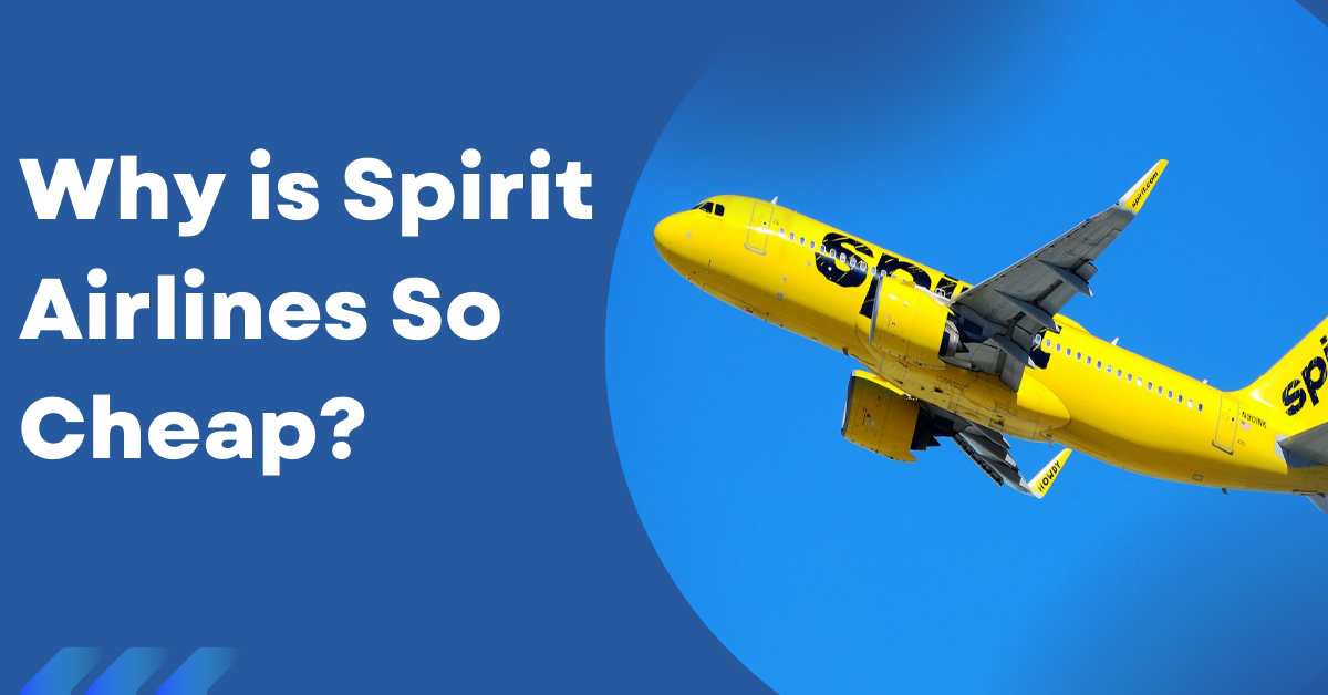 Why Is Spirit Airlines So Cheap_